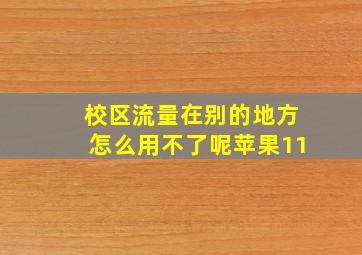 校区流量在别的地方怎么用不了呢苹果11