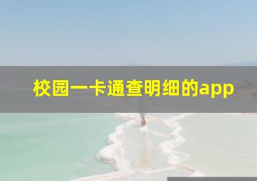 校园一卡通查明细的app