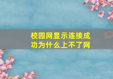 校园网显示连接成功为什么上不了网