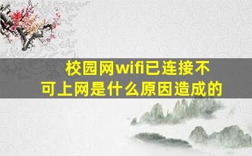 校园网wifi已连接不可上网是什么原因造成的