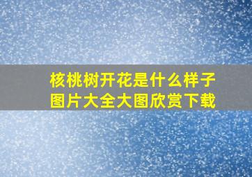 核桃树开花是什么样子图片大全大图欣赏下载