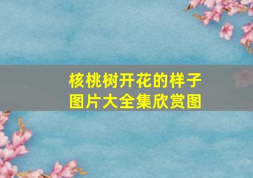 核桃树开花的样子图片大全集欣赏图