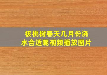 核桃树春天几月份浇水合适呢视频播放图片