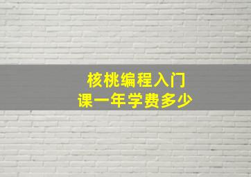 核桃编程入门课一年学费多少