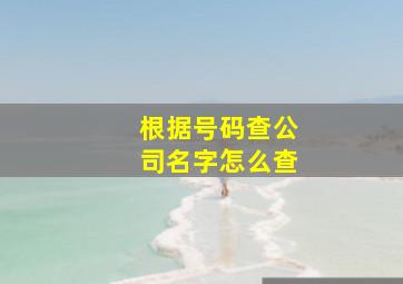 根据号码查公司名字怎么查