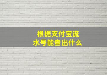 根据支付宝流水号能查出什么