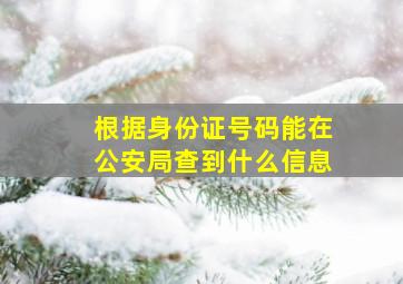 根据身份证号码能在公安局查到什么信息