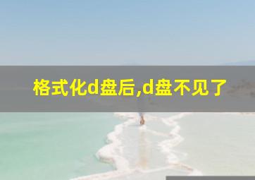 格式化d盘后,d盘不见了