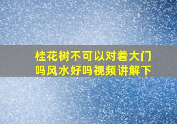 桂花树不可以对着大门吗风水好吗视频讲解下