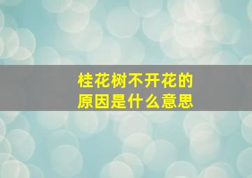 桂花树不开花的原因是什么意思