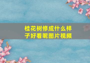 桂花树修成什么样子好看呢图片视频