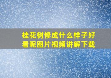 桂花树修成什么样子好看呢图片视频讲解下载