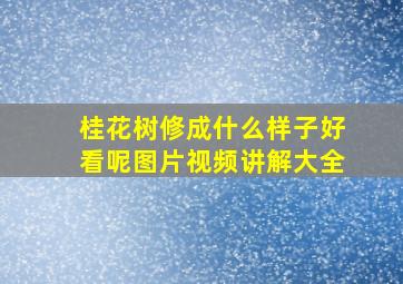 桂花树修成什么样子好看呢图片视频讲解大全