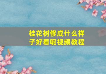 桂花树修成什么样子好看呢视频教程