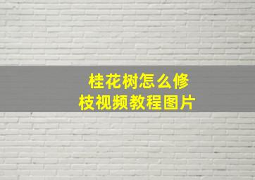 桂花树怎么修枝视频教程图片