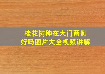 桂花树种在大门两侧好吗图片大全视频讲解