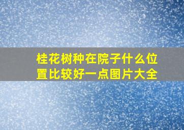 桂花树种在院子什么位置比较好一点图片大全