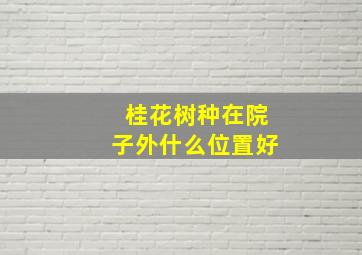 桂花树种在院子外什么位置好