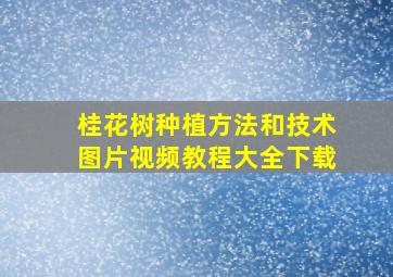 桂花树种植方法和技术图片视频教程大全下载