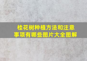 桂花树种植方法和注意事项有哪些图片大全图解