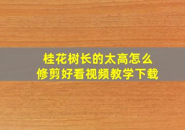 桂花树长的太高怎么修剪好看视频教学下载