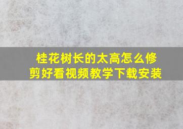 桂花树长的太高怎么修剪好看视频教学下载安装