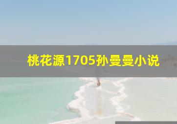 桃花源1705孙曼曼小说