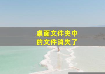 桌面文件夹中的文件消失了