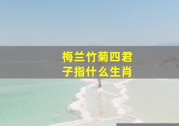 梅兰竹菊四君子指什么生肖