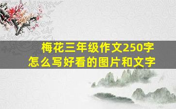 梅花三年级作文250字怎么写好看的图片和文字