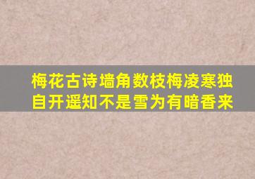 梅花古诗墙角数枝梅凌寒独自开遥知不是雪为有暗香来