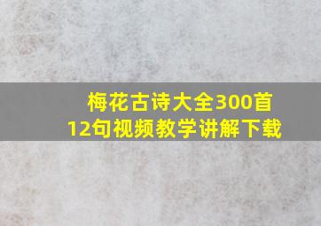 梅花古诗大全300首12句视频教学讲解下载