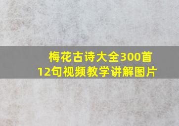 梅花古诗大全300首12句视频教学讲解图片