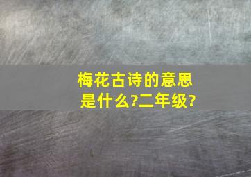 梅花古诗的意思是什么?二年级?