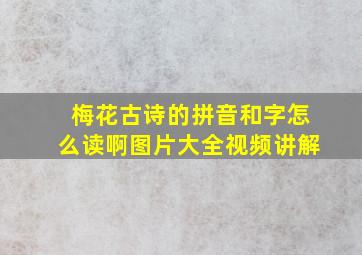 梅花古诗的拼音和字怎么读啊图片大全视频讲解