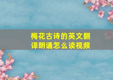 梅花古诗的英文翻译朗诵怎么读视频