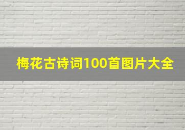 梅花古诗词100首图片大全