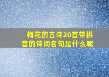 梅花的古诗20首带拼音的诗词名句是什么呢