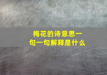 梅花的诗意思一句一句解释是什么