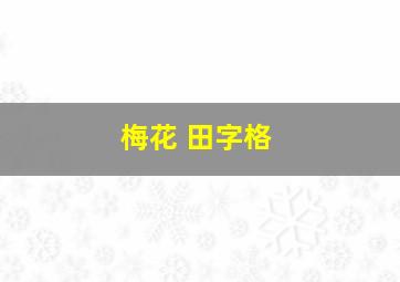 梅花 田字格