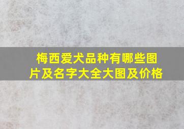 梅西爱犬品种有哪些图片及名字大全大图及价格