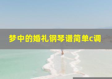 梦中的婚礼钢琴谱简单c调