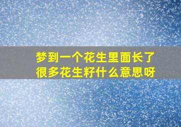 梦到一个花生里面长了很多花生籽什么意思呀