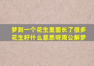 梦到一个花生里面长了很多花生籽什么意思呀周公解梦