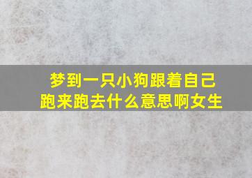 梦到一只小狗跟着自己跑来跑去什么意思啊女生