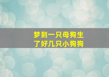 梦到一只母狗生了好几只小狗狗