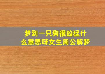 梦到一只狗很凶猛什么意思呀女生周公解梦