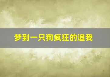 梦到一只狗疯狂的追我