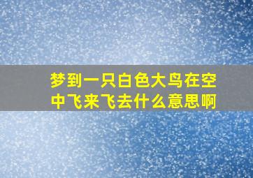 梦到一只白色大鸟在空中飞来飞去什么意思啊