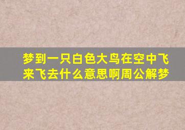 梦到一只白色大鸟在空中飞来飞去什么意思啊周公解梦